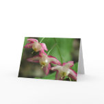 Hidden Treasures Greeting Cards