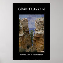 Hidden Tree Moran Point 4822 Black Poster