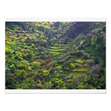 hidden valley art photo