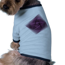 Hidden Wiccan Dog Tee
