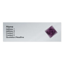 Hidden Wiccan Profile Card Template Business Card Templates