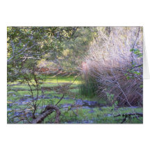 Hide and Seek Greeting Card