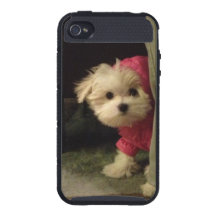 Hide and Seek iPhone 4/4S Covers