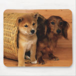 Hide and Seek mousepads