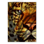hiding pantheress(card)