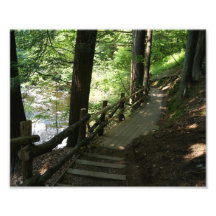 High Above 10 x 8 Photographic Print