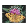 High brown fritillary butterfly  flowers post cards