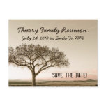 High Country Save the Date Post Cards