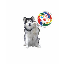 High Five - To our Canadian Athletes t-shirts