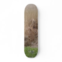 High Grass In Dried Lake Skate Decks