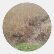 High Grass In Dried Lake Stickers