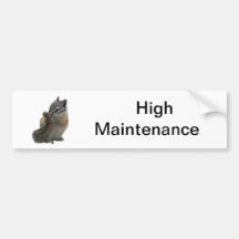 High Maintenance Chipmunk Bumper Sticker