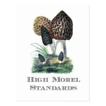 High Morel Standards Postcard