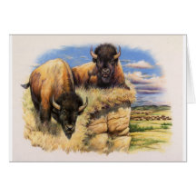 High Plains Bison Greeting Card