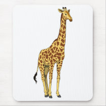 High Top Giraffe