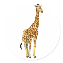 High Top Giraffe