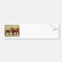 Highland Cow and calf 9Y316D-045 Bumper Sticker