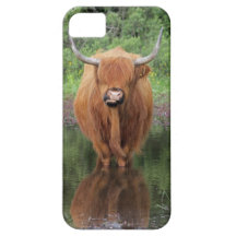 Highland cow iPhone 5 case