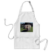 Highland cow on the move on dartmoor apron