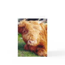 Highland Cow Photo Greeting Card