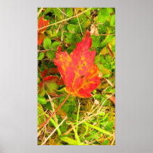 Highland Scenic Highway, West Virginia Print