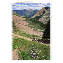 Hikers in Rockies Aspen CO Card