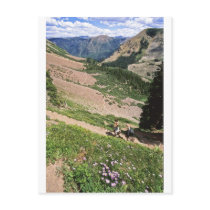 Hikers in Rockies Aspen CO Post Cards