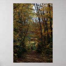 Hiking in the Autumn Colours Poster
