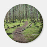 Hiking Through the Woods Magnets