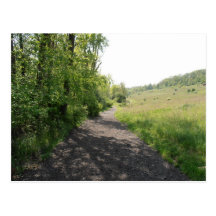 hiking trail Postcard