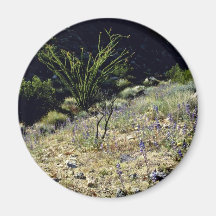 Hillside - Joshua Tree National Monument Refrigerator Magnets