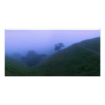 Hillside moor at dusk photo