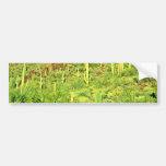 Hillside Of Saguaro, Plants, Red Rocks Bumper Stickers