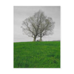 hilltop postcards