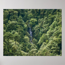 Himalaya forest in the Mangdue valley, Bhutan Print