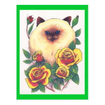 Himalayan and Roses ©1993 Post Card