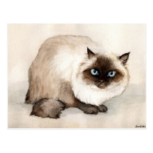 Himalayan Cat Original Art Postcard
