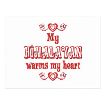 Himalayan Cats Warm My Heart Post Card