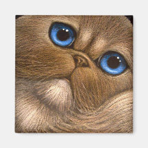 HIMALAYAN PERSIAN CAT Magnet