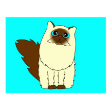 Himalayan Persian Cat Postcard