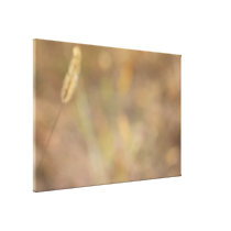 "Hint Of Nature" Photography Art Stretched Canvas Print