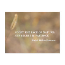 "Hint Of Nature" Photography Art with Quote Postcard