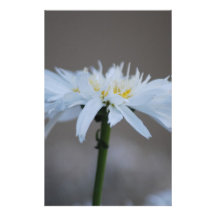 Hippie daisy and meaning customized stationery