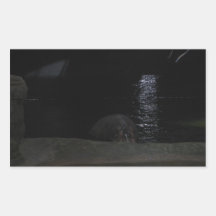 Hippo at Night Rectangular Stickers