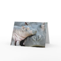 Hippo Card