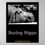 Hippo Doze Poster