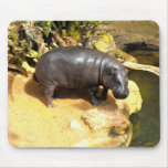 Hippo enjoying the spring sunshine mousepad