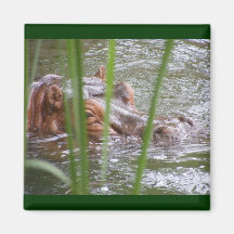 Hippo Fridge Magnet