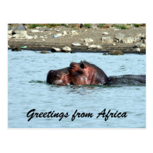 hippo greetings postcards