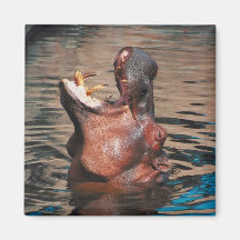 Hippo Head Fridge Magnet